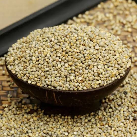 Bajra (Pearl Millet)