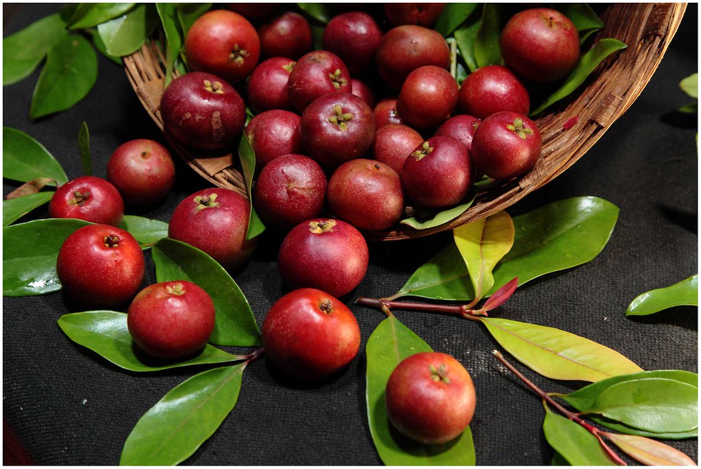 Kokum