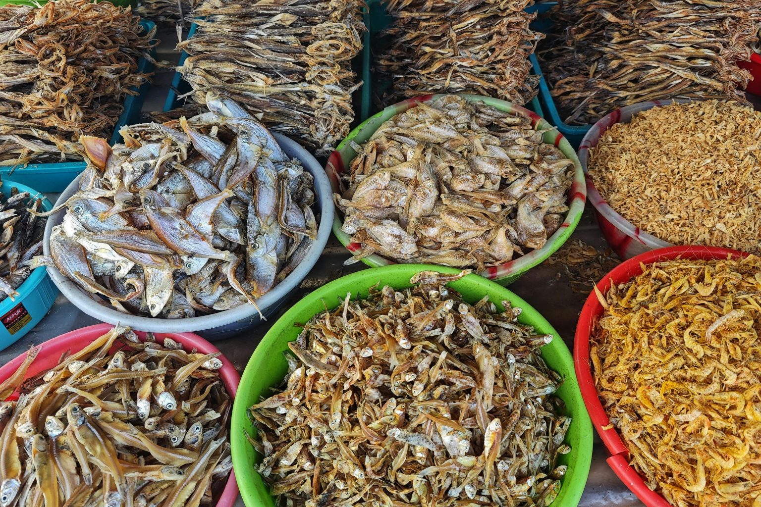 Dry Fish